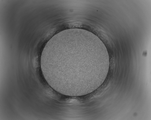 X0000116450224201001191559