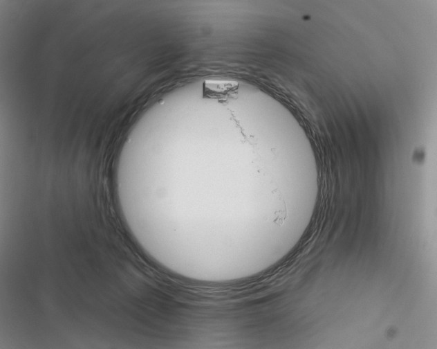 X0000116450225201001191559