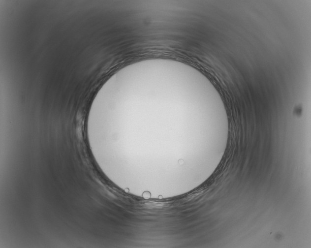 X0000116450227201001191559