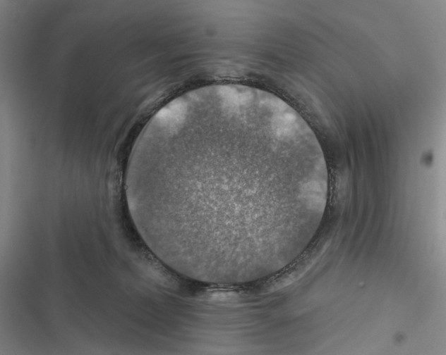 X0000116450228201001191559
