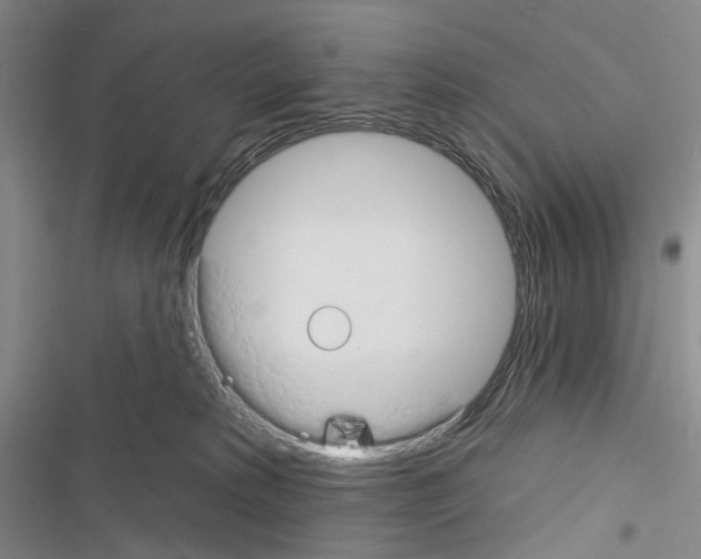 X0000116450229201001191559
