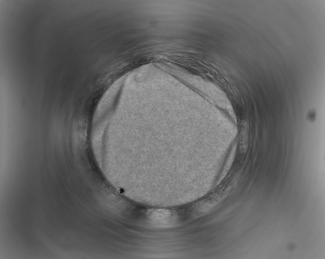 X0000116450230201001191559