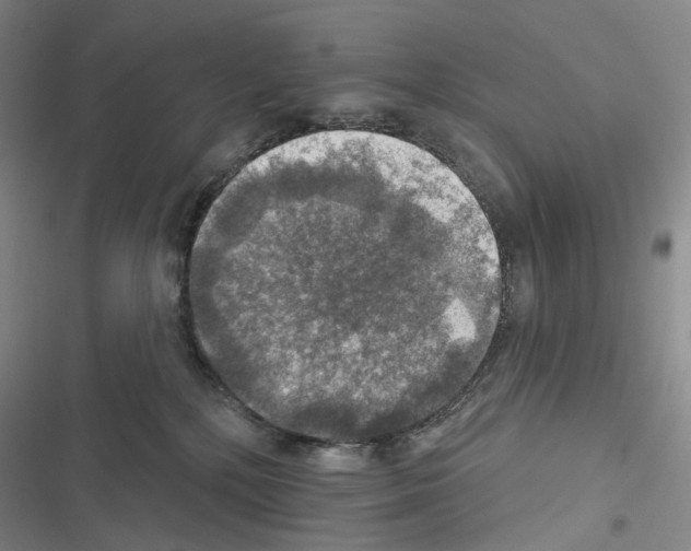 X0000116450232201001191559