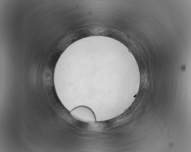 X0000116450234201001191559