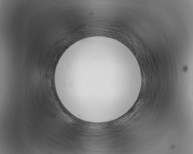 X0000116450235201001191559