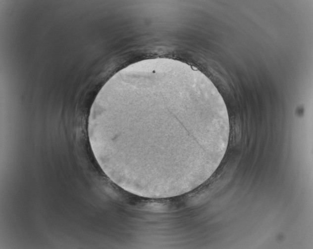 X0000116450236201001191559