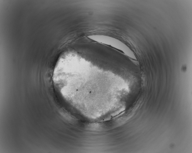 X0000116450237201001191559