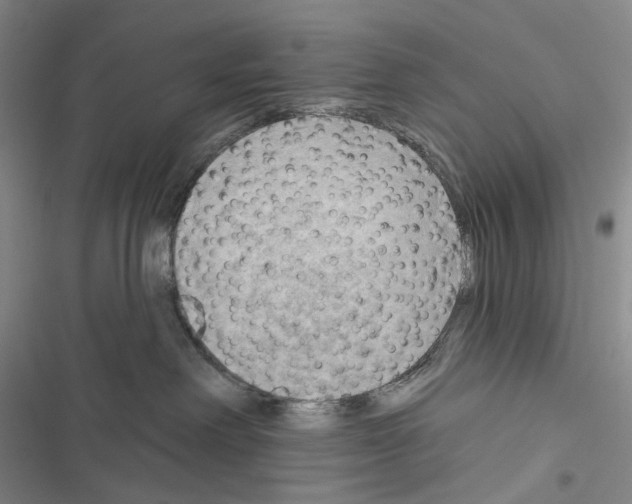 X0000116450238201001191559