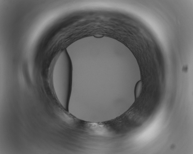 X0000116450239201001191559