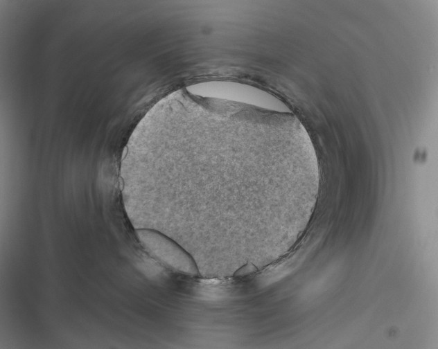 X0000116450240201001191559