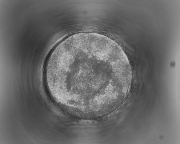 X0000116450242201001191558