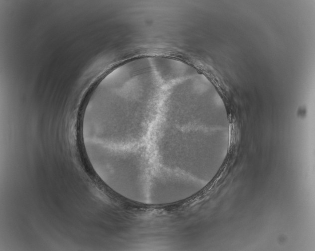 X0000116450243201001191558