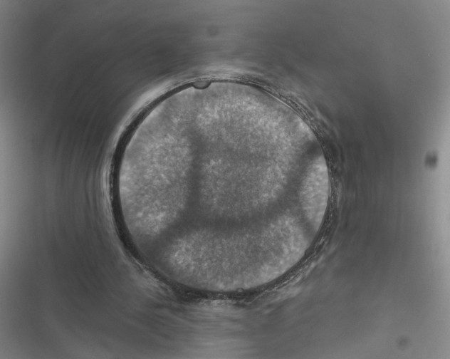 X0000116450244201001191558