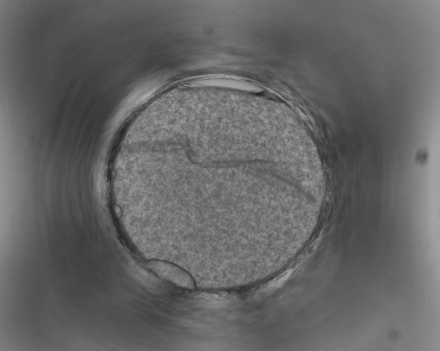 X0000116450245201001191558