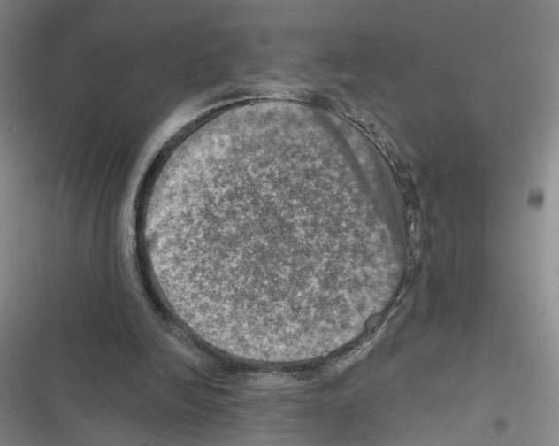 X0000116450246201001191558