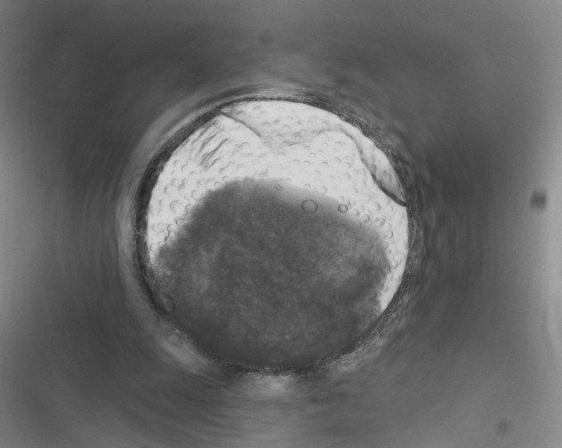 X0000116450247201001191558