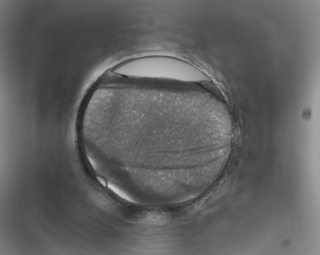 X0000116450248201001191558