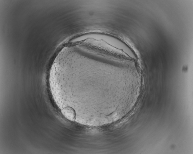 X0000116450249201001191559