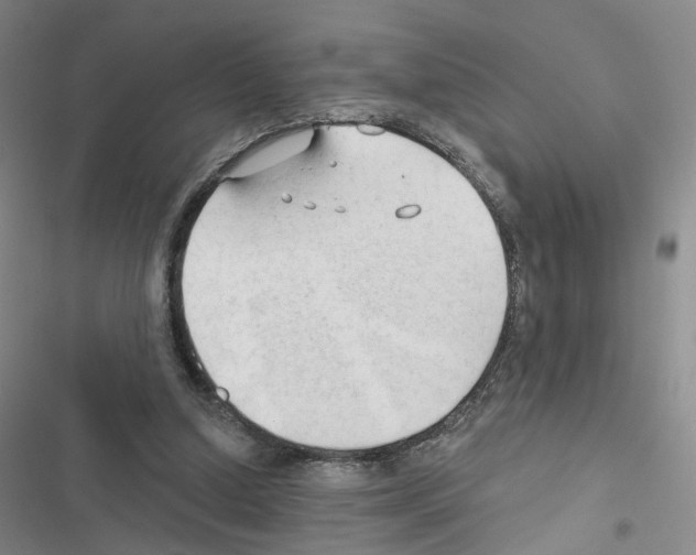 X0000116450250201001191559