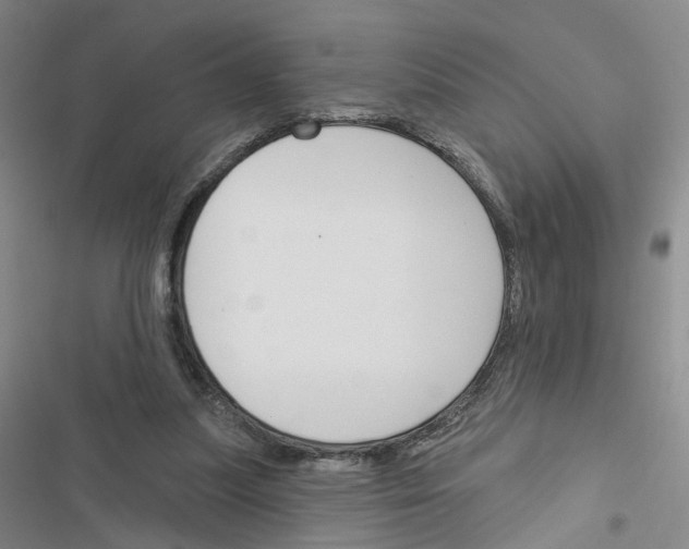X0000116450251201001191559