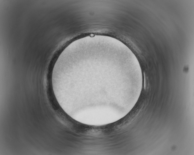 X0000116450252201001191559