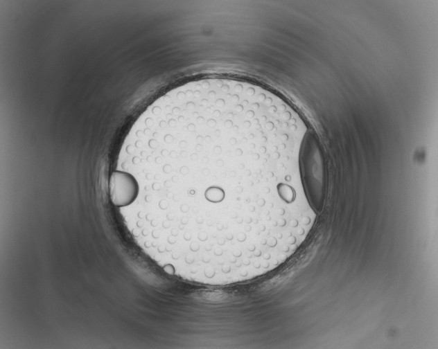 X0000116450253201001191559