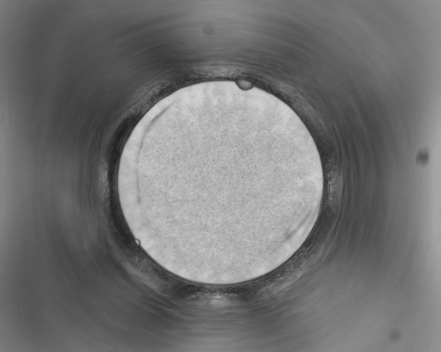 X0000116450254201001191559