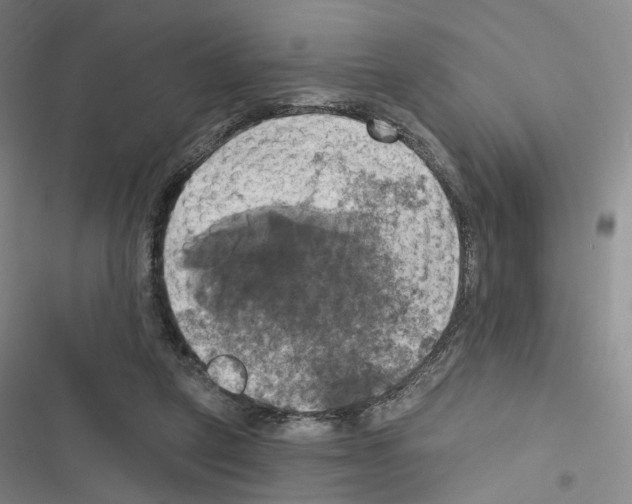 X0000116450257201001191559