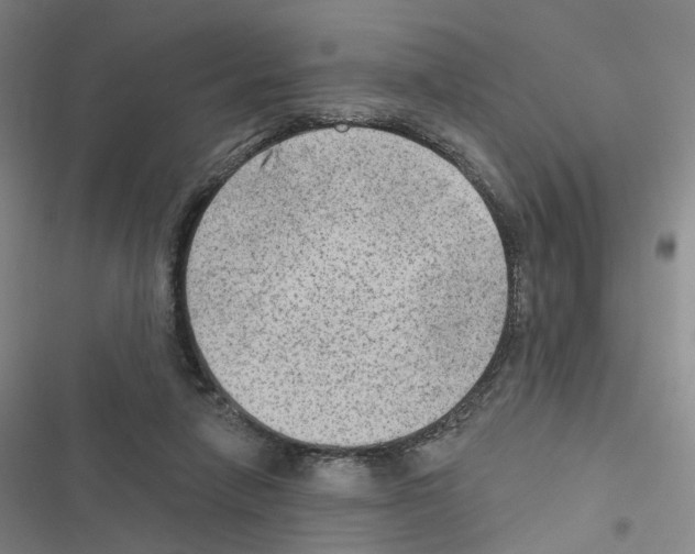 X0000116450258201001191559
