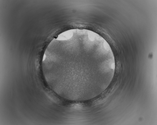 X0000116450259201001191559