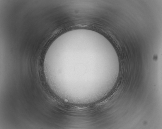 X0000116450260201001191559