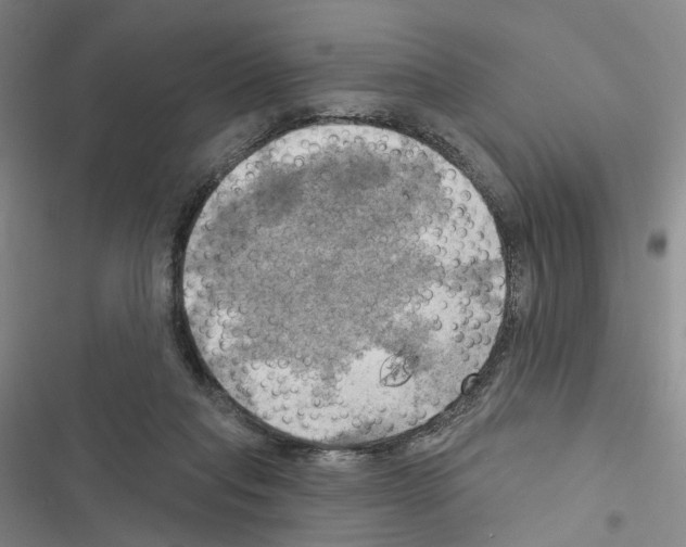 X0000116450261201001191559