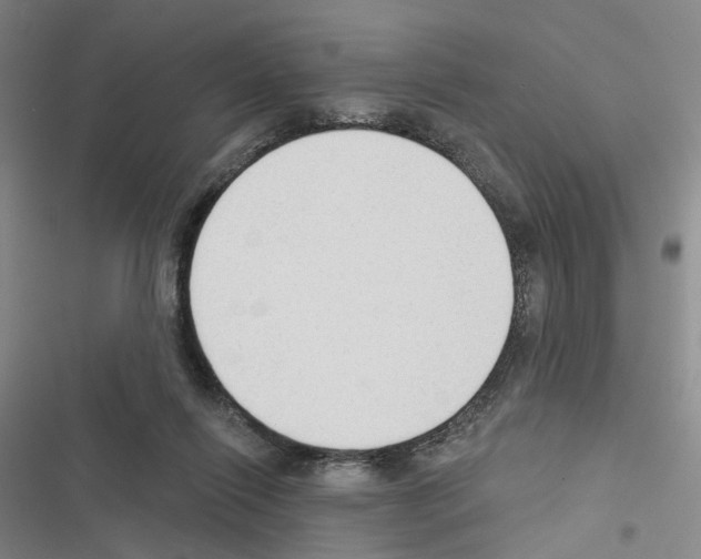 X0000116450262201001191559