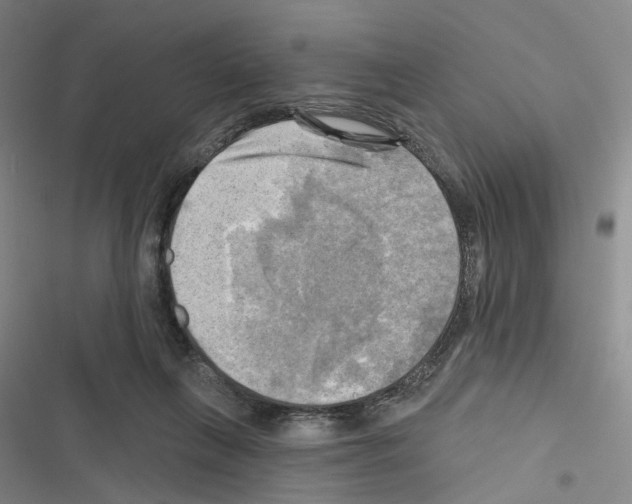 X0000116450263201001191559