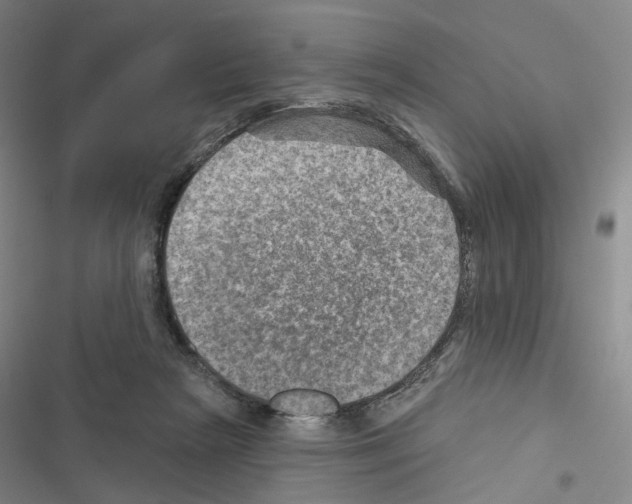 X0000116450265201001191559