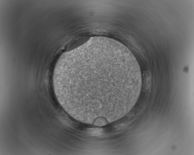 X0000116450266201001191559