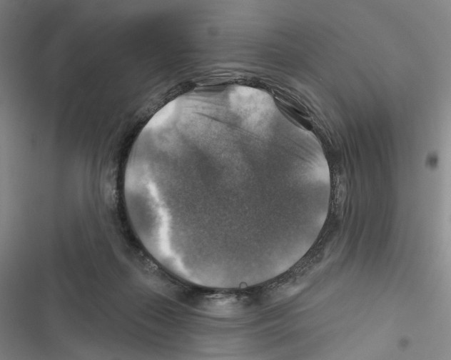 X0000116450267201001191559
