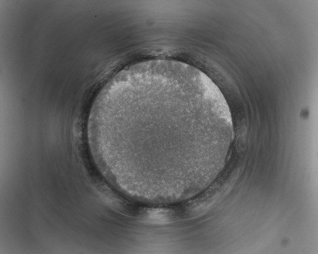 X0000116450268201001191559