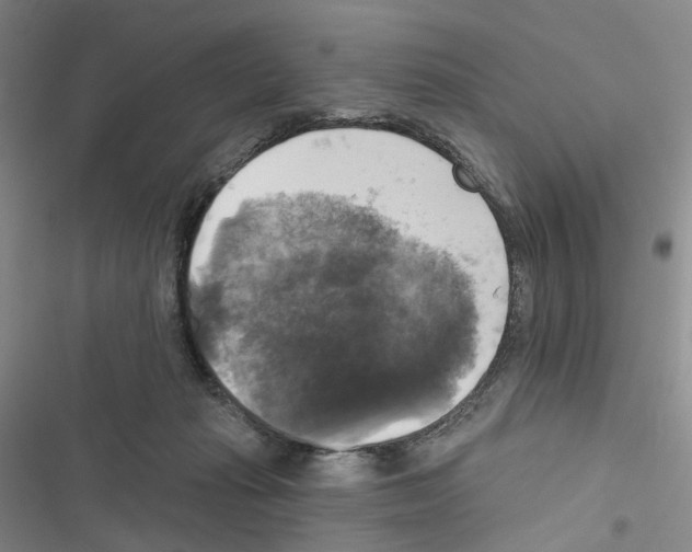 X0000116450269201001191559