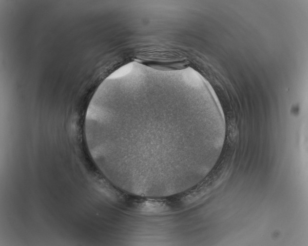 X0000116450270201001191559