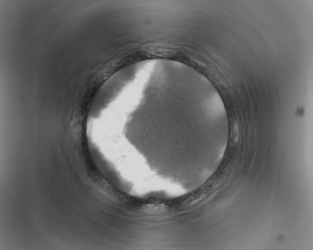 X0000116450271201001191559