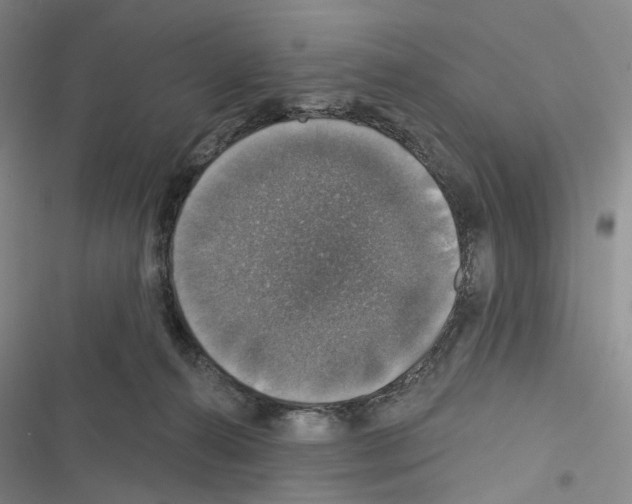 X0000116450272201001191559