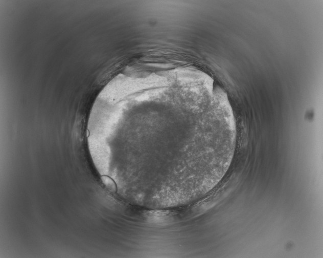 X0000116450273201001191559