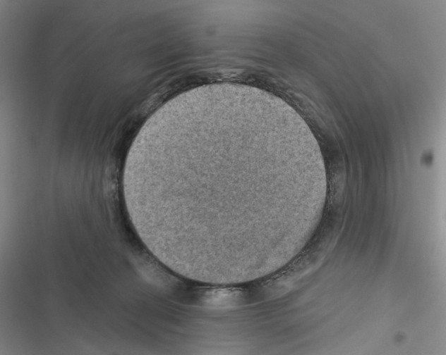 X0000116450274201001191559