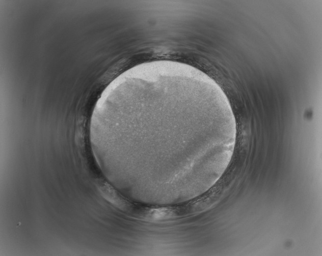 X0000116450275201001191559