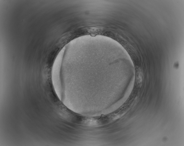 X0000116450276201001191559