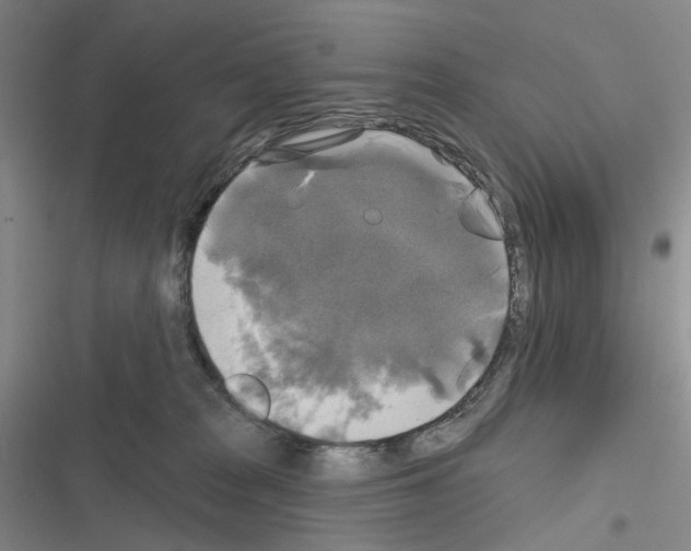 X0000116450277201001191559