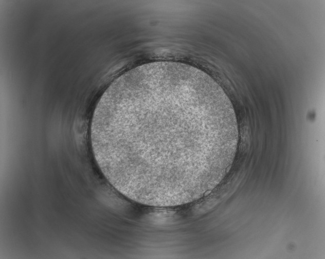 X0000116450278201001191559