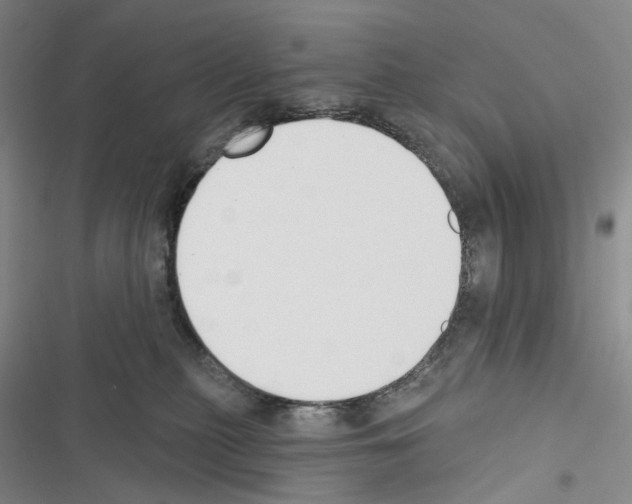 X0000116450279201001191559
