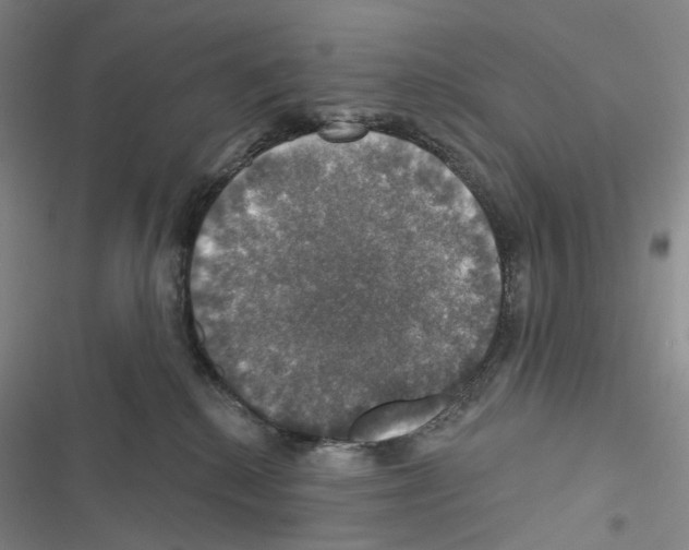X0000116450280201001191559